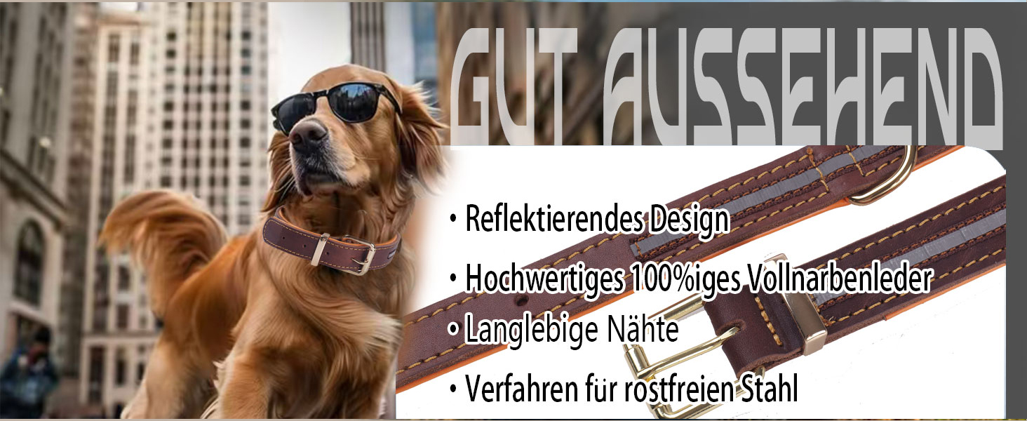 Нашийник для собак з натуральної шкіри, регульований, з м'якою підкладкою, для середніх, великих та екстра-великих порід (колір: коричневий, розмір: M)