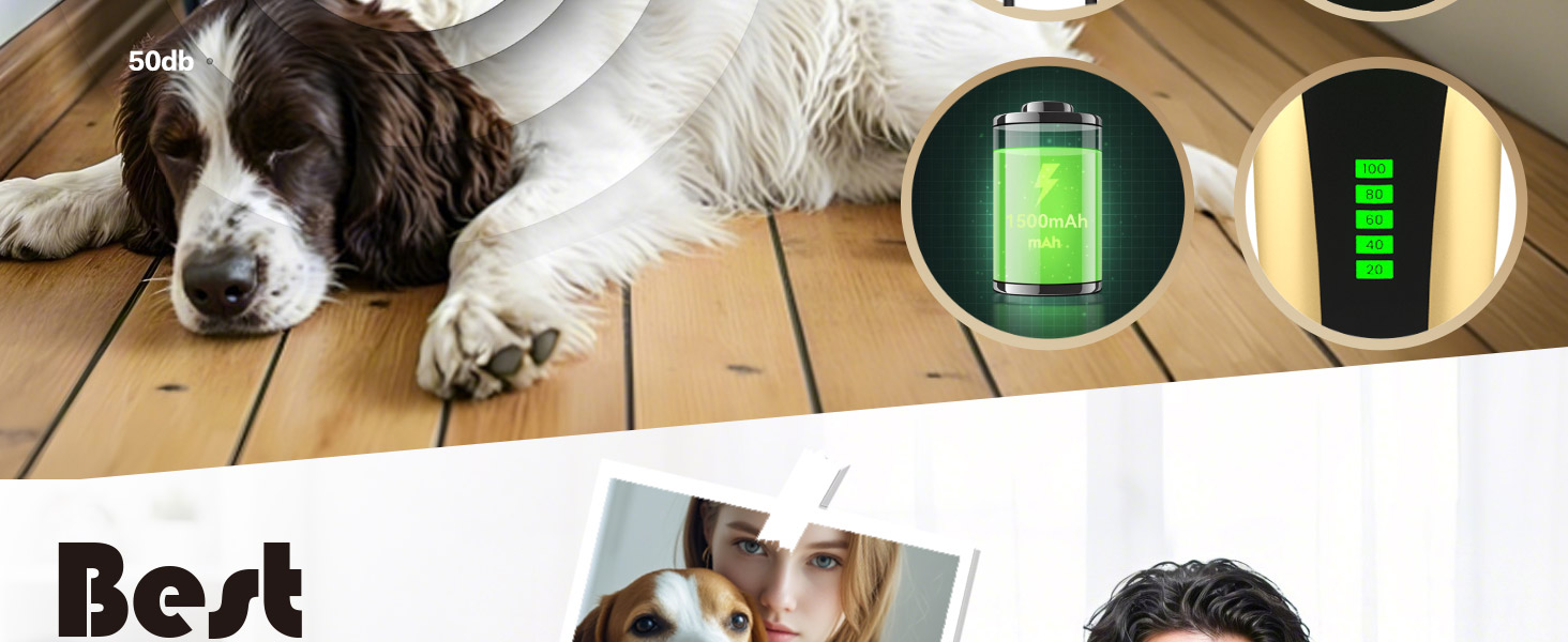 Професійна машинка для стрижки собак та котів Leise, електрична бездротова, 2 швидкості (Золота)