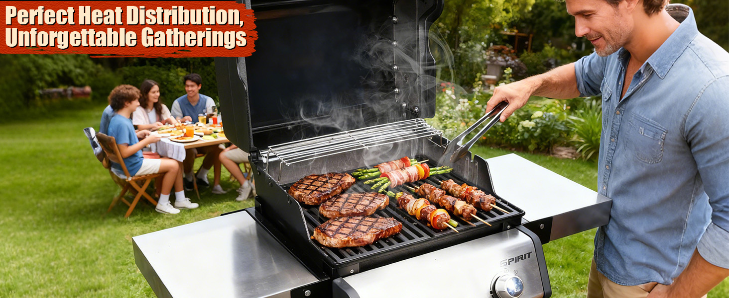 Решітка для гриля Weber Spirit I & II E210, E220, S210, S220 (2 шт.) - чавун, Denmay 7637