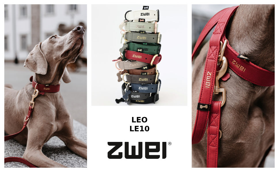Нашийник для собак ZWEI Leo LE10 з екошкіри, регульований, 28-38 см, різні кольори