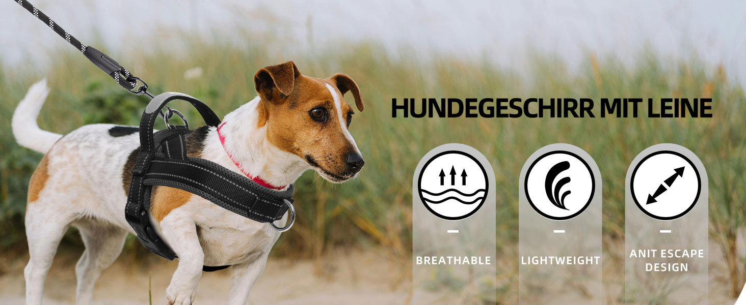 Нашийник для собак середніх та маленьких порід з повідком, кольоровий, з м'якою підкладкою, з ручкою та кільцем, світловідбиваючий, легкий, чорно-сірий, розмір M