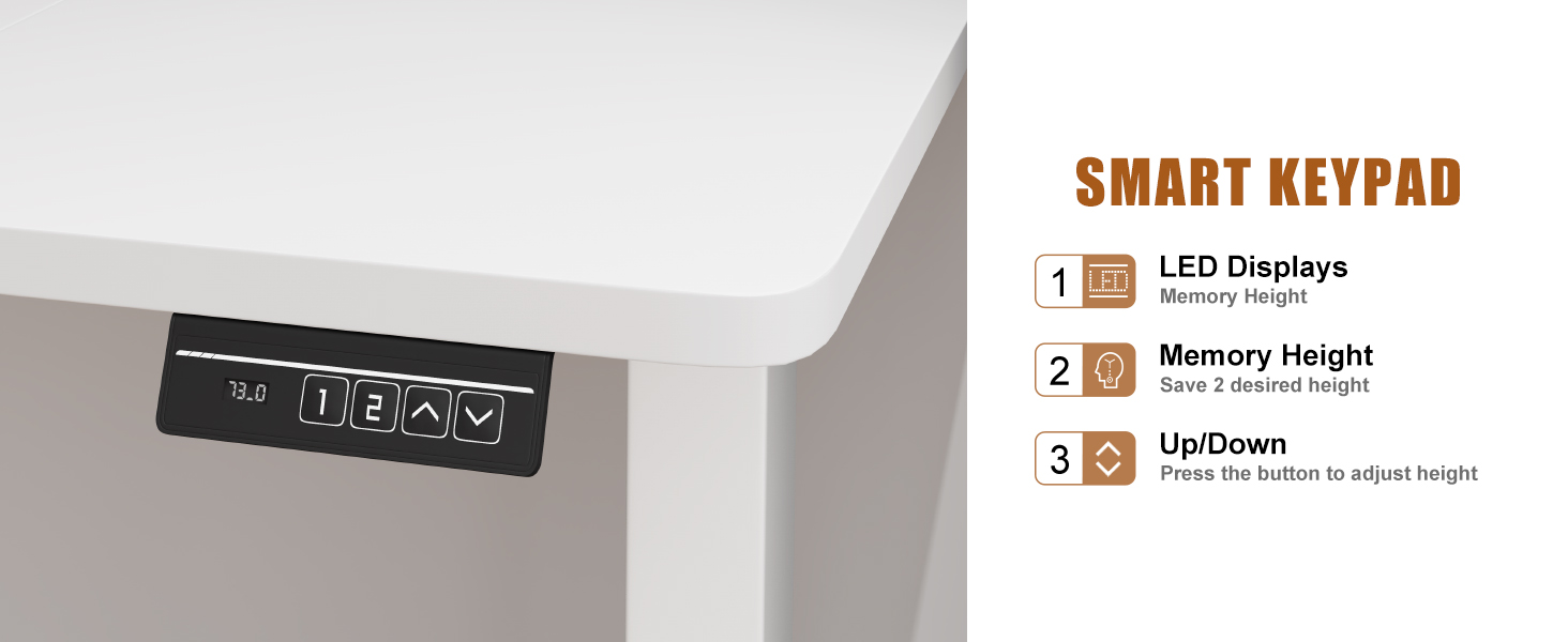 TriumphKey Adjustable Height Standing Desk with Monitor Stand - Electric Ergonomic Desk, 120x60cm White