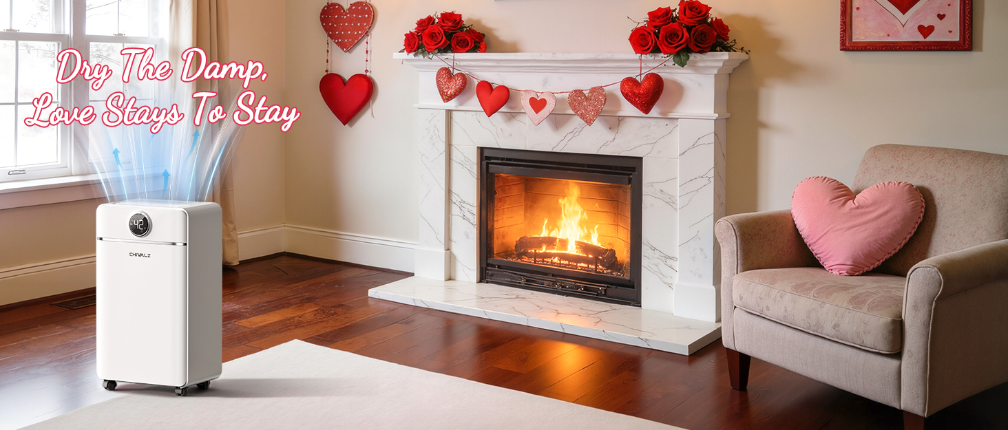 Електричний осушувач повітря CHIVALZ для автомобіля та приміщень до 30 м²/120 м³, 3 режими роботи, таймер 24 год, автоматичне розморожування, енергозбереження, білий