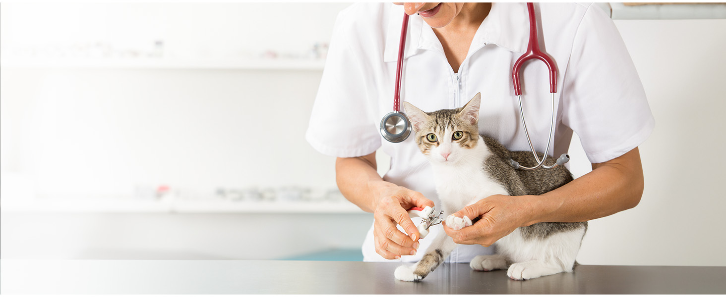 Транспортна переноска для котів та цуценят Morpilot до 5 кг, сіра, з колесами, 28 x 28 x 43 см