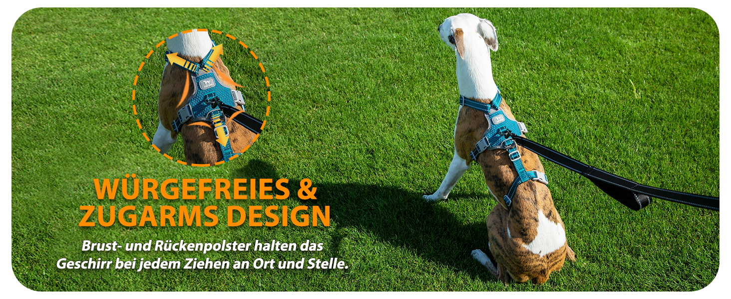 Шлейка Huntboo для собак: безпечна від виривання, антистресова, з відбиваючими елементами, регульована, легка (розмір S, блакитна)