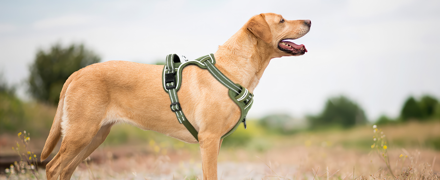 Нашийник для собак HEELE з посиленим кріпленням, світловідбиваючий, з м'якою ручкою, для контролю, 2 металеві кільця, для малих, середніх та великих собак, армійський камуфляж, зелений, M M MC-Armee Grün