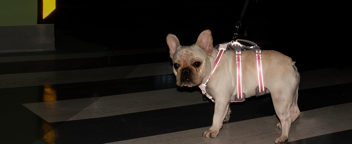 Шлейка для собак Huntboo, безпечна та витривала, з світловідбиваючими елементами та м'якою ручкою, регульована жилетка для маленьких собак, для прогулянок та тренувань (Рожева, S)