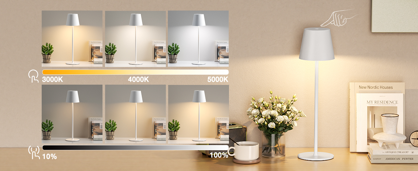 Акумуляторна настільна LED лампа бездротова з USB-C зарядкою, регульована яскравість, 3 режими світла, сенсорна лампа для дому, спальні, кемпінгу (біла)