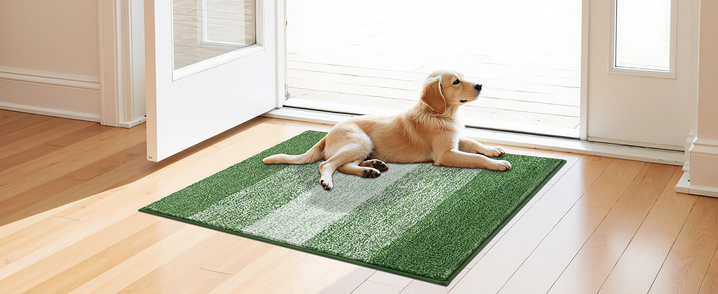 Килимок для дому та ванної кімнати SHACOS, 80 x 120 см, зелений. Антиковзка, швидковисихаюча, для входу та ванної кімнати