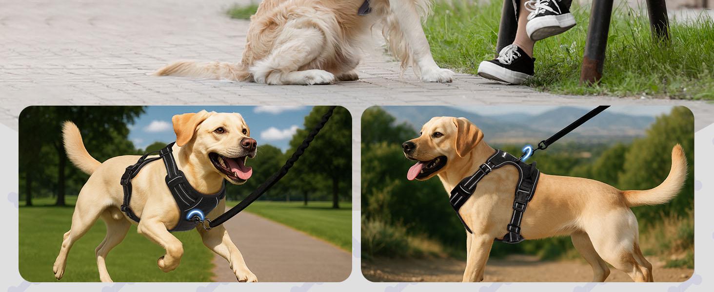 Шлейка для собак Funfox, середнього розміру, анти-тяга, регульована, з ручкою та світловідбиваючими смугами, чорна, L