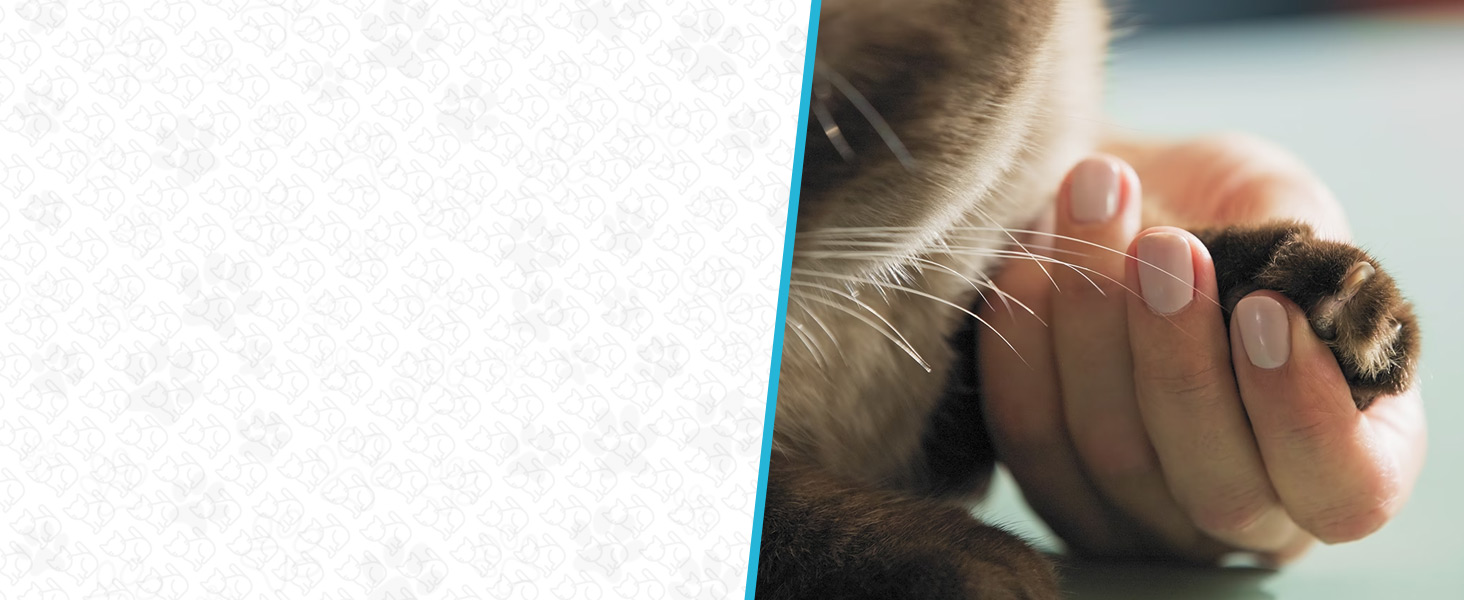 Професійні ножиці для обрізання кігтів собак та котів Candure з пилочкою, нержавіюча сталь, безпечний захист, 15 см, блакитний (XS)