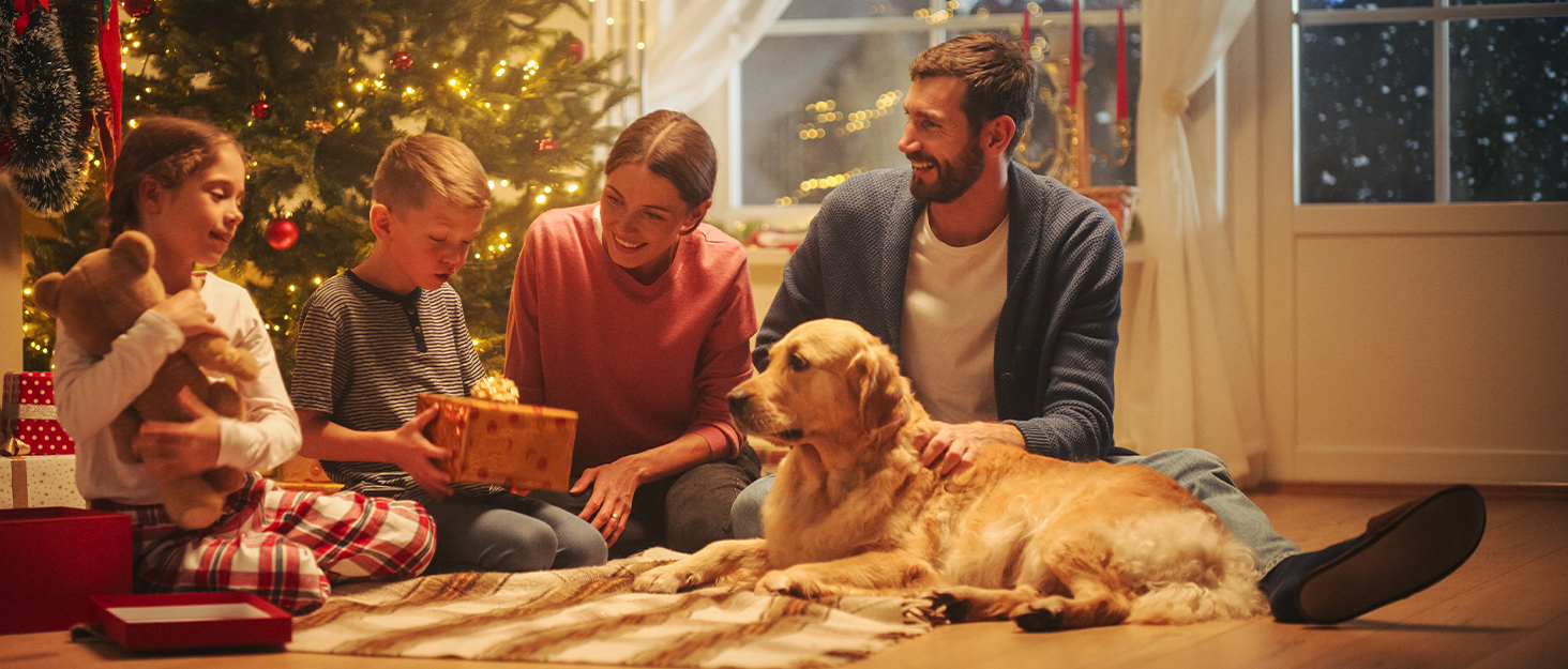 Кігтеточка YITAHOME Готичний XL, 160 см, велика та стійка, з 4 колонами з сизалю, 1 дощечкою для шліфування, гамаком, 2 підвісними кулями-павуками, платформами для сну, чорна, 48 x 60 x 160 см