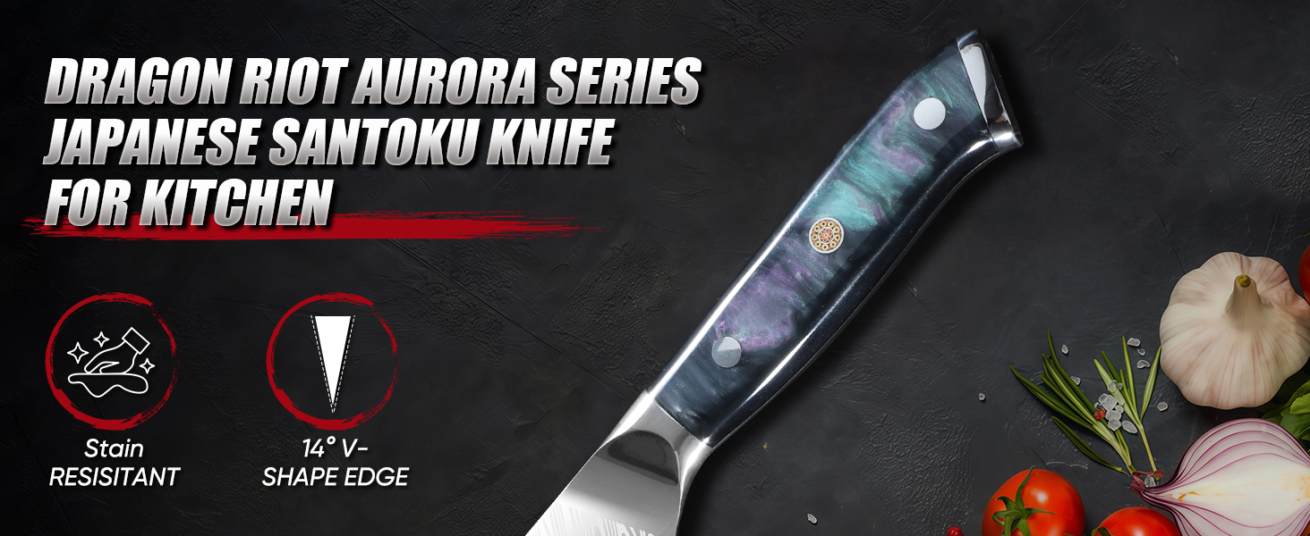 Нож Santoku Dragon Riot - професійний кухонний ніж з ручкою з харчу, з піхвою
