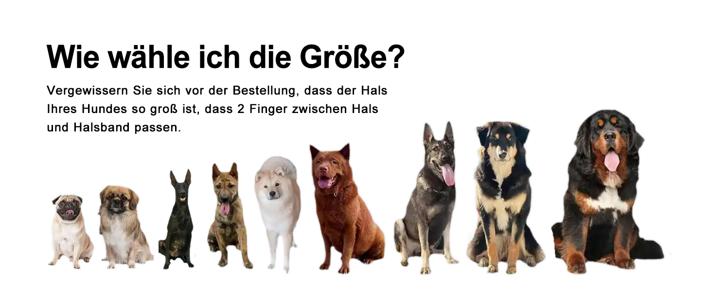 Лідяний нашийник для собак з металевою застібкою, двосторонній, з ім'ям та номером телефону, регульований розмір, M та L (для маленьких собак)