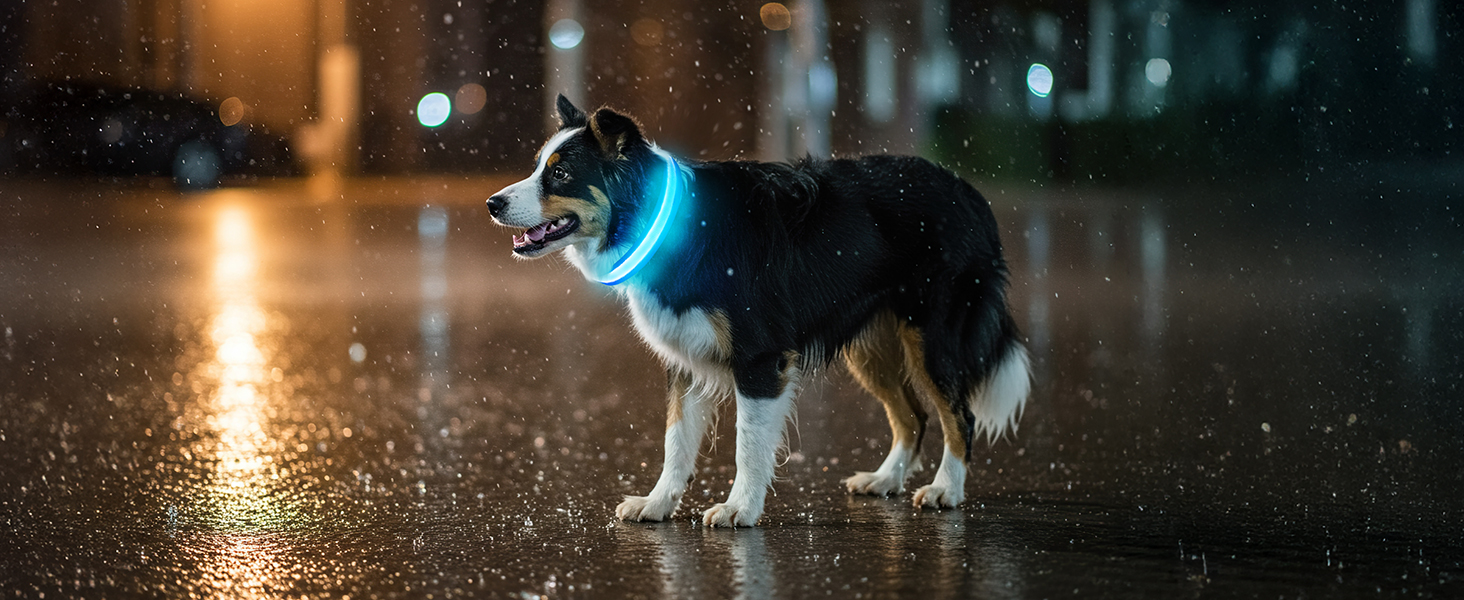 Світлодіодне нашийник для собак Jewyow 7-в-1, багатоквітний, USB-C, водонепроникний, для малих, середніх та великих собак - Синій, M