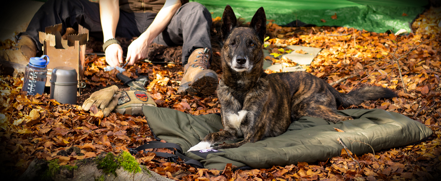 OneTigris Dog Blanket 110 x 68cm Washable, Dog Mat Comfort and Soft Waterproof Dog Bed, Dog Cushion for Travel Camping Outdoor - Olive Drab