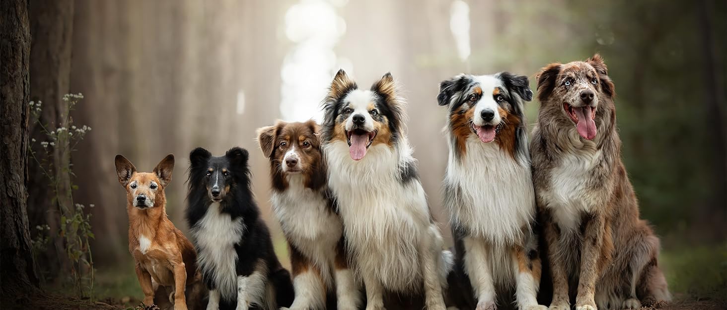 Захист сидіння для собак у машину: водовідштовхувальний чохол на заднє сидіння, захист для дітей, ковдра для собак, підходить для авто, фургонів та SUV