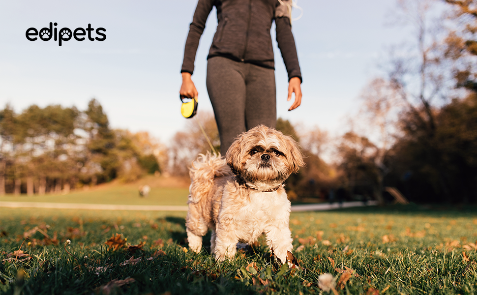 Hundeleine Edipets висувна 8 м, для собак різних розмірів, червона