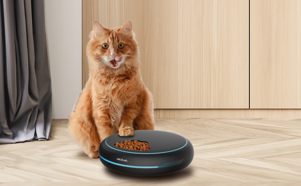 Автоматичний годівниця для домашніх тварин Cecotec Pumba 1600 Purrfect Meal - 1,6 л, 4 відділення, таймер, LED-дисплей, голосовий рекордер