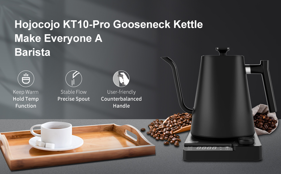 Електричний чайник-заварник зі сталевим гусячим носиком, 1л, 1200Вт, з регулюванням температури та функцією підігріву 24 години, чорний