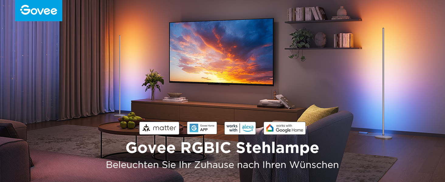 Govee LED-лампа RGBIC для дому, з Wi-Fi, димування, сумісна з Alexa та Google Assistant, 16 мільйонів кольорів, 58 режимів, музичний режим, DIY для ігор та сну (срібна, 1 шт.)