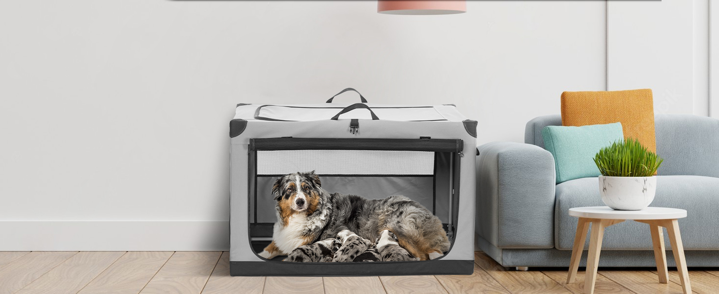 Транспортна переноска для собак Petsfit, XL, сіра - складана, для подорожей та авто, підходить для малих собак та котів