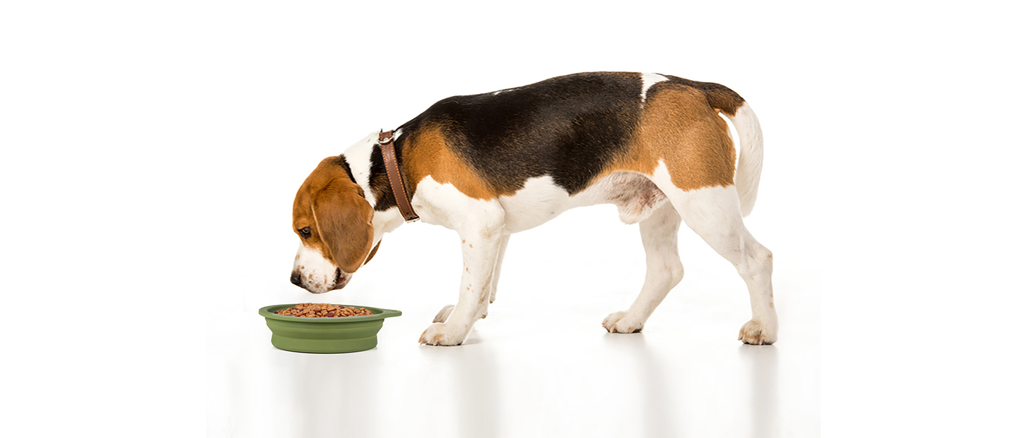 SLSON 2 шт. Складаний миска для собак, портативна миска для їжі та води для домашніх тварин, з карабіном, сіра + рожева