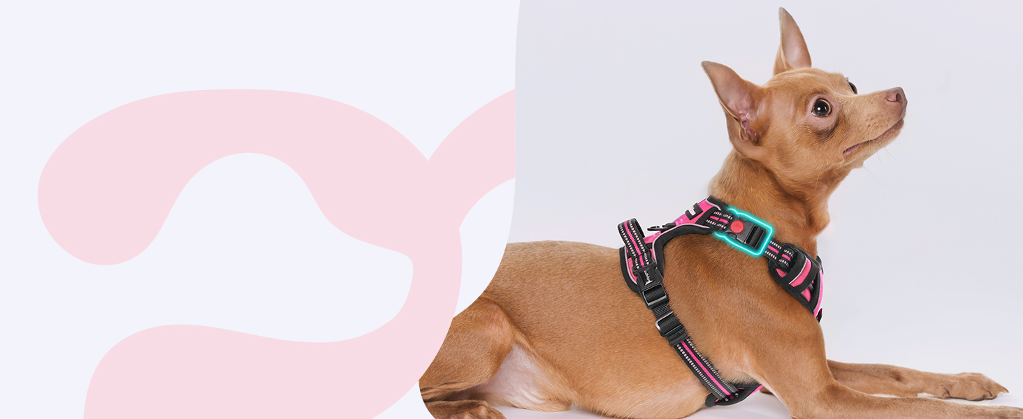 Нашийник для собак Rabbitgoo, великі породи, регульований, без натягування, з ручкою, анти-тяга, м'яка підкладка, світловідбиваючий, розмір L (XL), рожевий