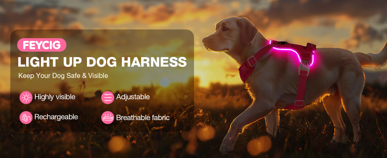 Світловідбиваючий нашийник для собак великих порід з LED-підсвічуванням, акумуляторний, регульований, 3 режими освітлення, висока видимість (Рожевий, Large)