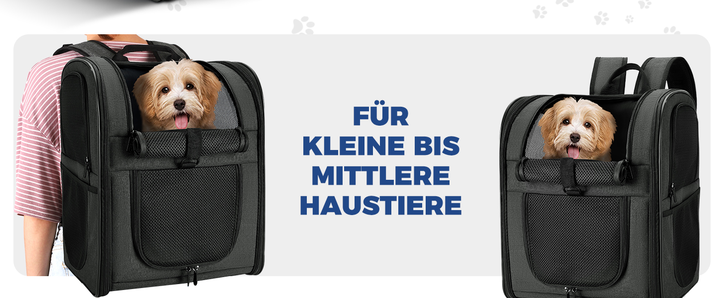 Рюкзак для собак та котів Apollo Walker - зручний та дихаючий, для малих тварин (2-15 кг), чорний