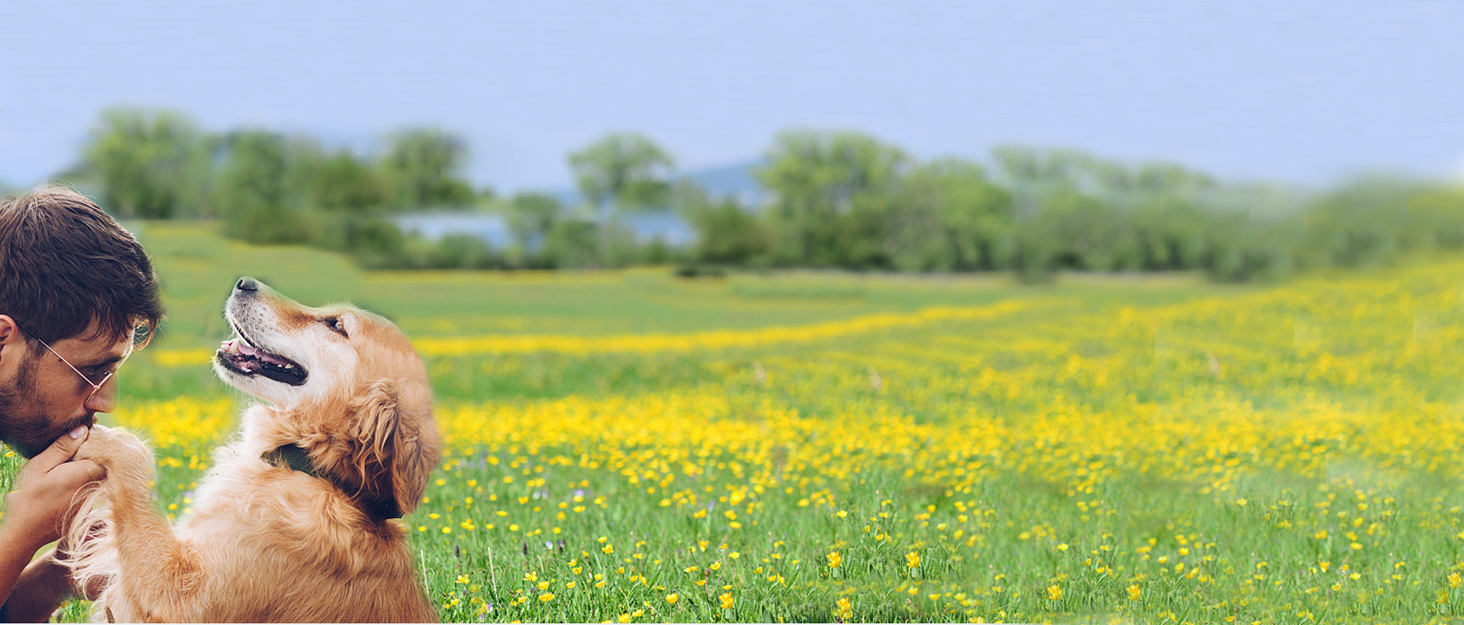 Висувна поводок для собак, 5 м, подвійний поводок для 2 собак, для собак середніх та великих порід до 50 кг, білий та чорний