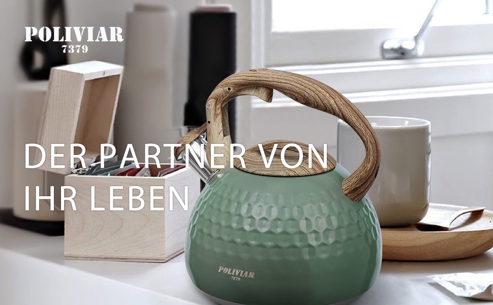 Чайник Poliviar Teekessel Diamant-Grün з нержавіючої сталі, стійкий до корозії та високих температур, підходить для всіх типів плит (JX2020-RH30-DE)