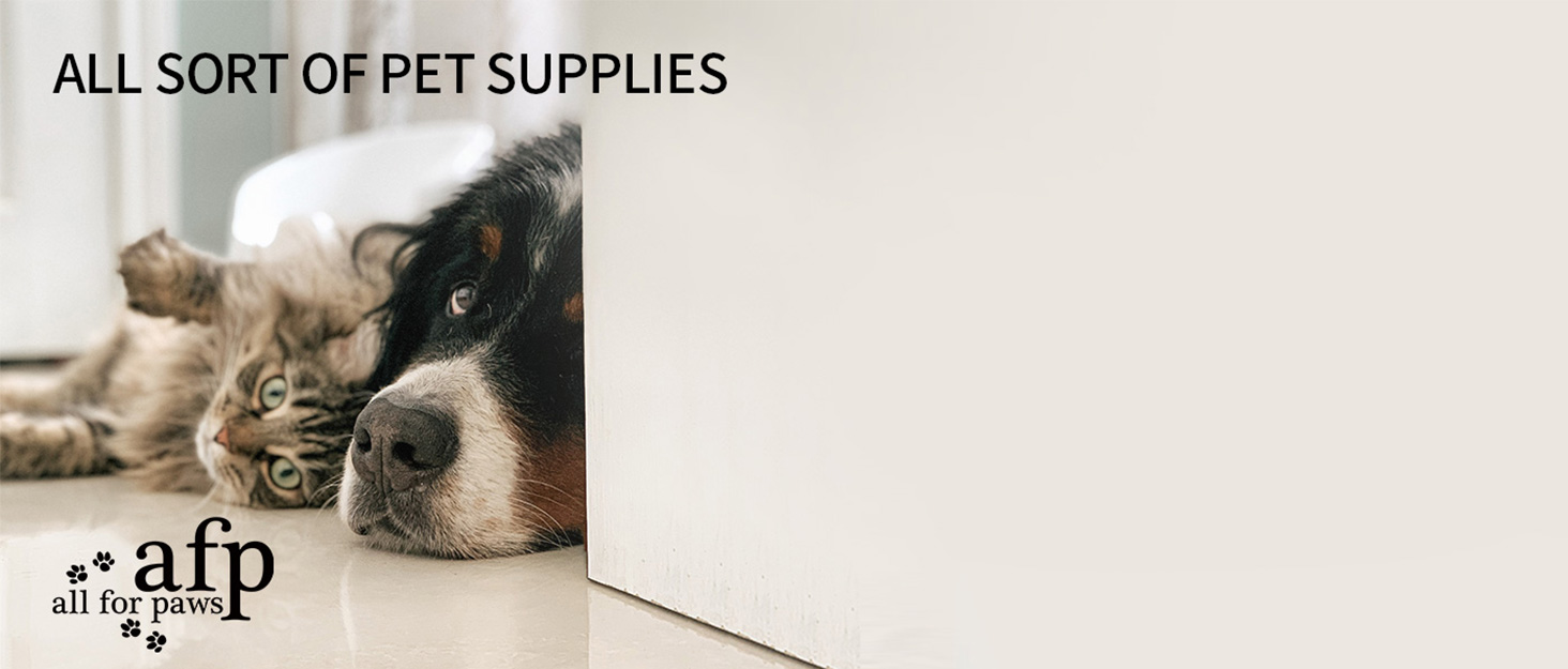 Інтерактивна ігрова годівниця-головоломка для котів ALL FOR PAWS, інтелектуальна іграшка для котів