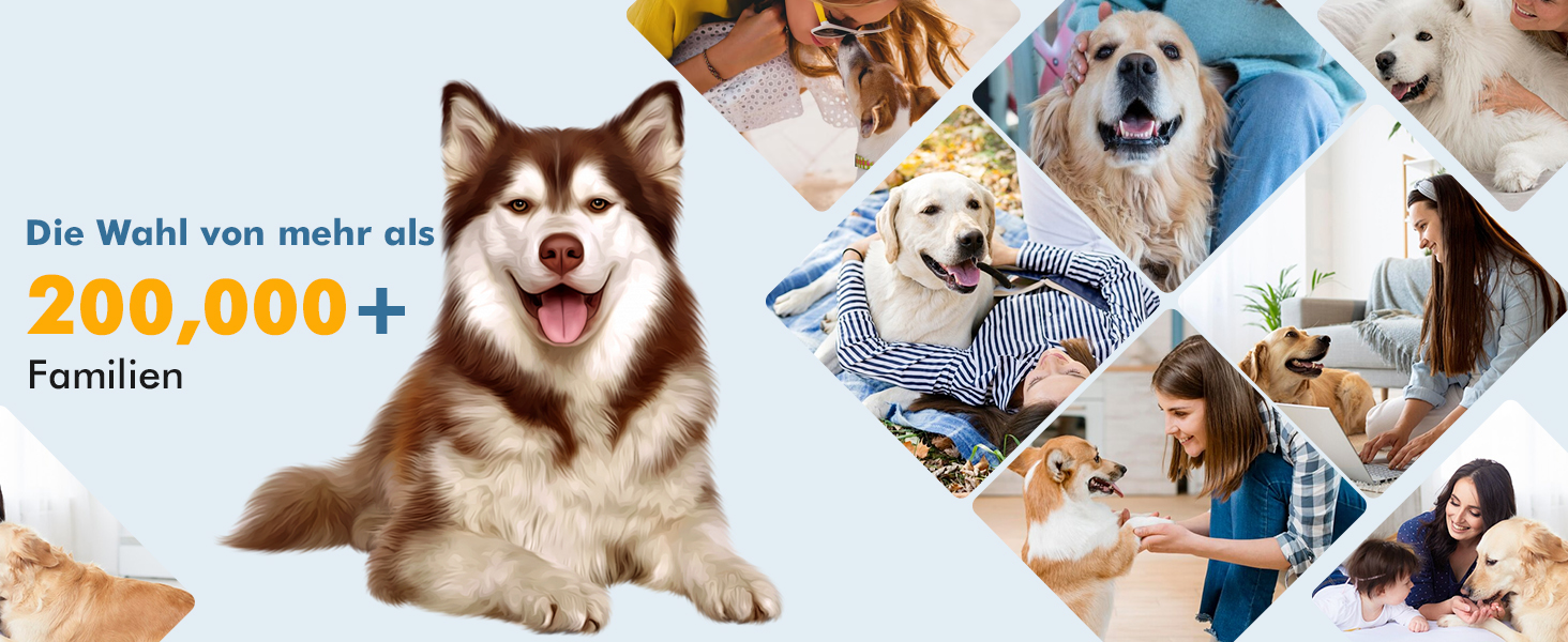 Професійна машинка для стрижки собак та котів Leise, набір, IPX7, для довгої шерсті, електрична