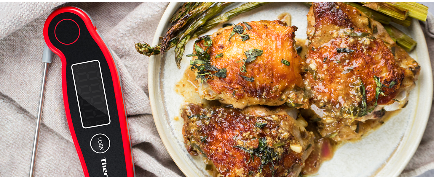 Термометр для м'яса ThermoPro TP19 IP65 вологостійкий ±0.5℃, LCD, для приготування BBQ, вина, жарки