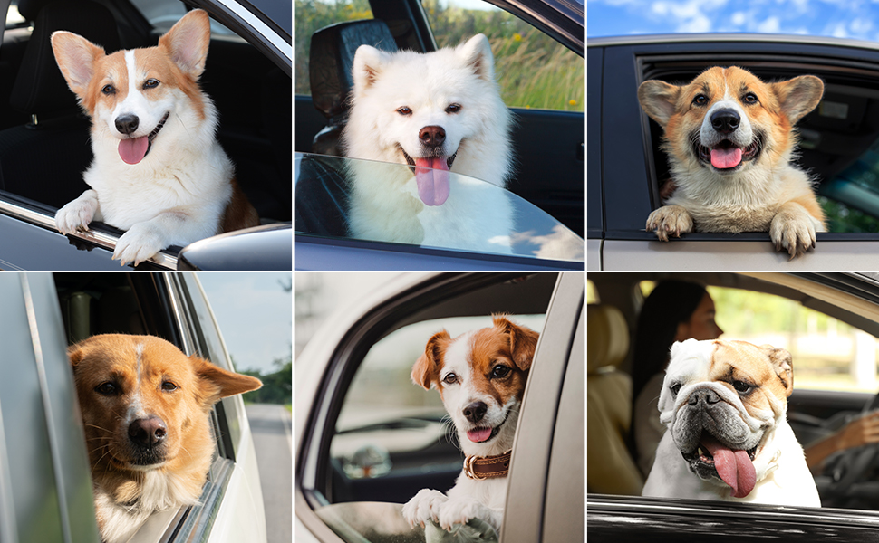 Автокрісло для собак, сіре, велике/маленьке, з підняттям та кишенями для зберігання. Підходить для собак до 25 кг або 2 цуценят. Знімне та пральне.