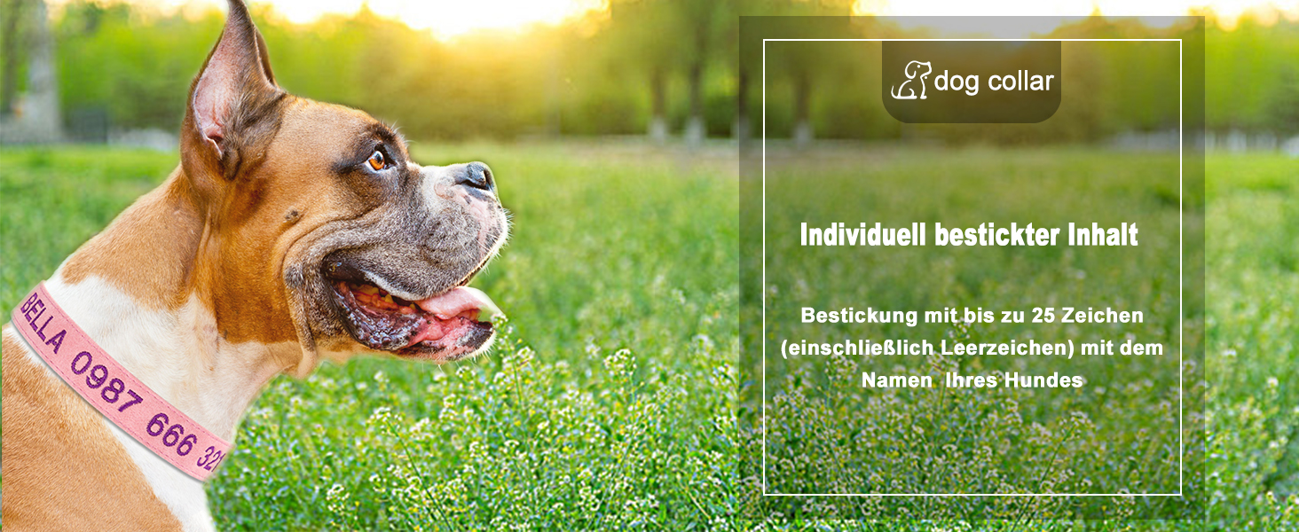 Лідяний нашийник для собак з металевою застібкою, двосторонній, з ім'ям та номером телефону, регульований розмір, M та L (для маленьких собак)