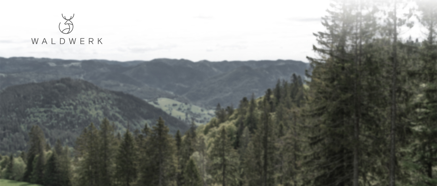 Сковорода нержавіюча WALDWERK 28 см індукційна, жароміцна - без покриття, з шкіряною ручкою