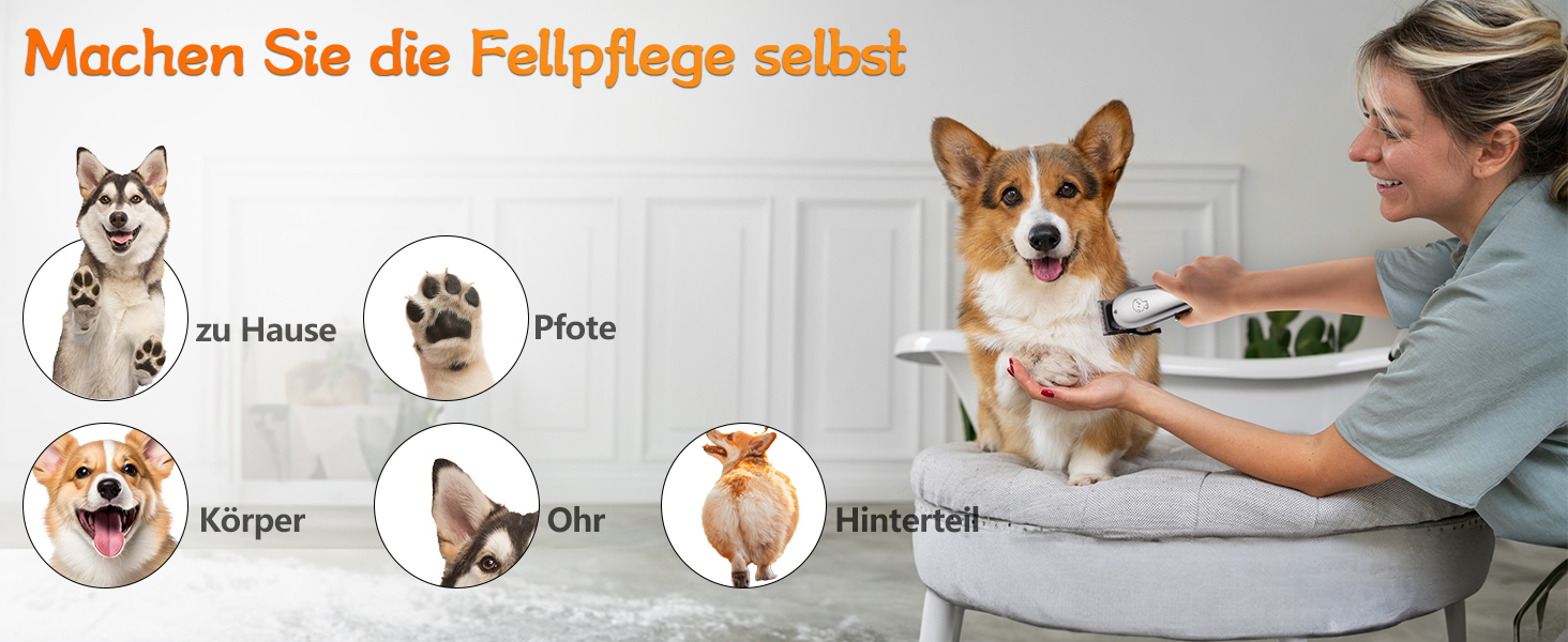 Професійна машинка для стрижки собак та котів Leise, 4 насадки, бездротова, для густого та кучерявого волосся