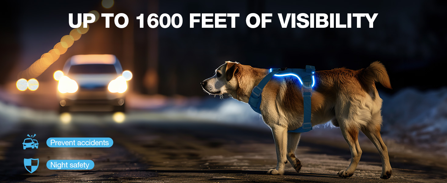 Світловідбиваючий нашийник для собак великих порід з LED-підсвічуванням, акумуляторний, регульований, 3 режими освітлення, висока видимість (Рожевий, Large)