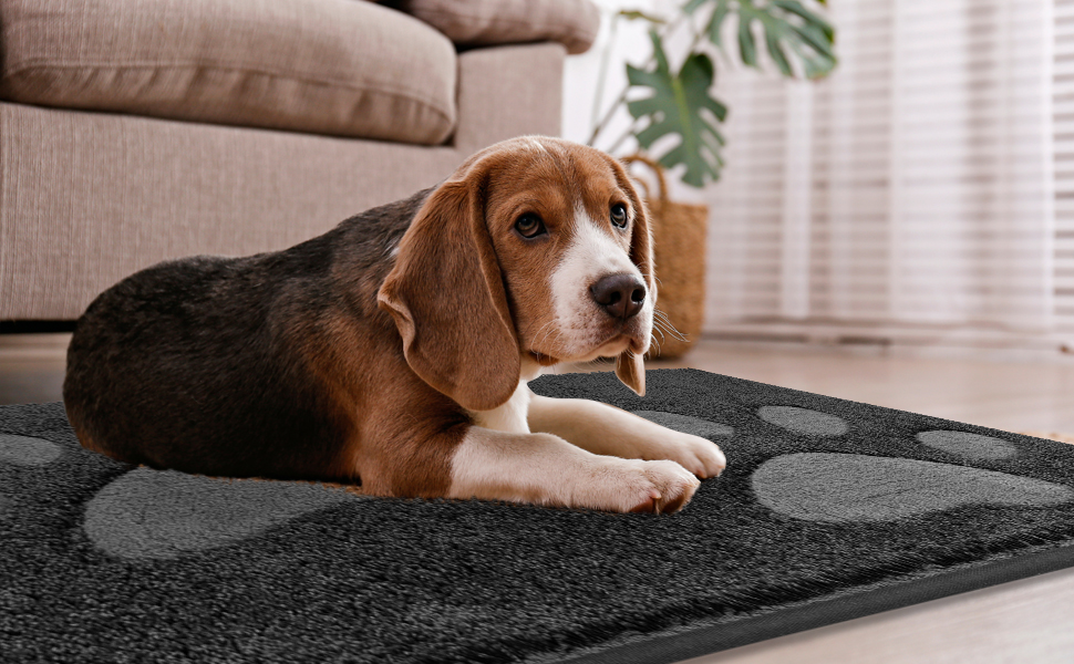 Килимок для підлоги 50 x 80 см, водонепроникний, антиковзний, для собак, вхід, вологі лапи, колір антрацит