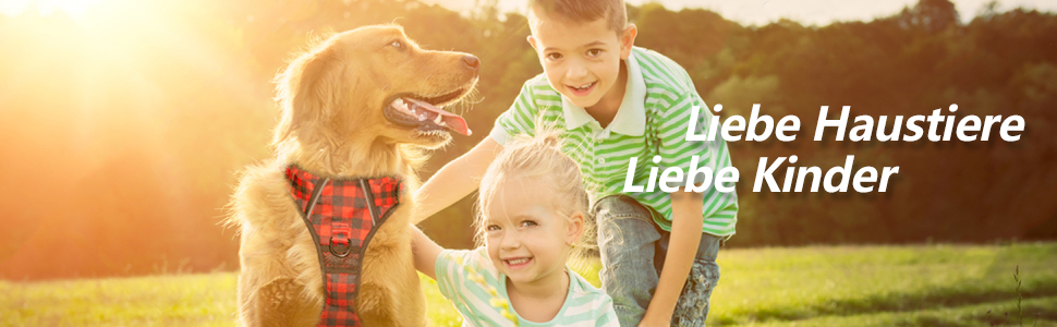 Нашийник для собак PoyPet без обмеження руху, світловідбиваючий, м'який, з простим застібкою, для маленьких собак (M, в клітинку червоний)