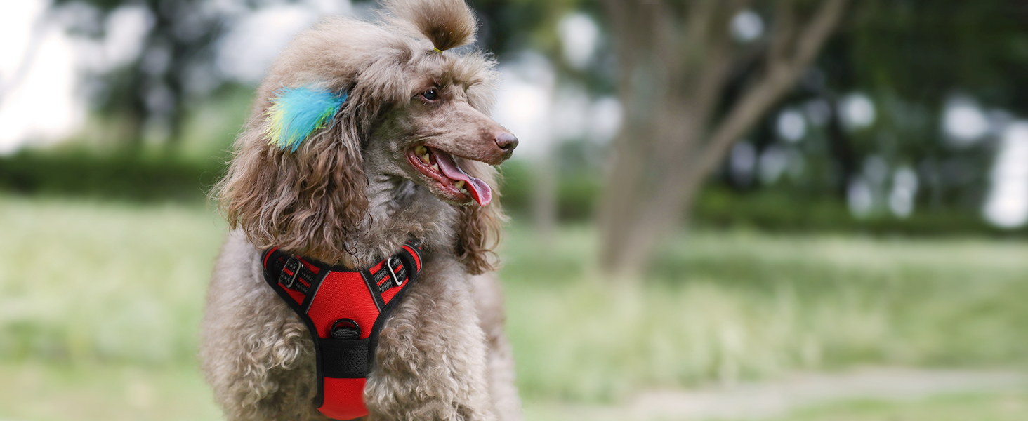Нагрудник для собак Rabbitgoo середнього розміру, анти-тяга, регульований, великі собаки, дихаючий, з світловідбиваючими смугами, безпечне ведення, червоний (1 шт.)