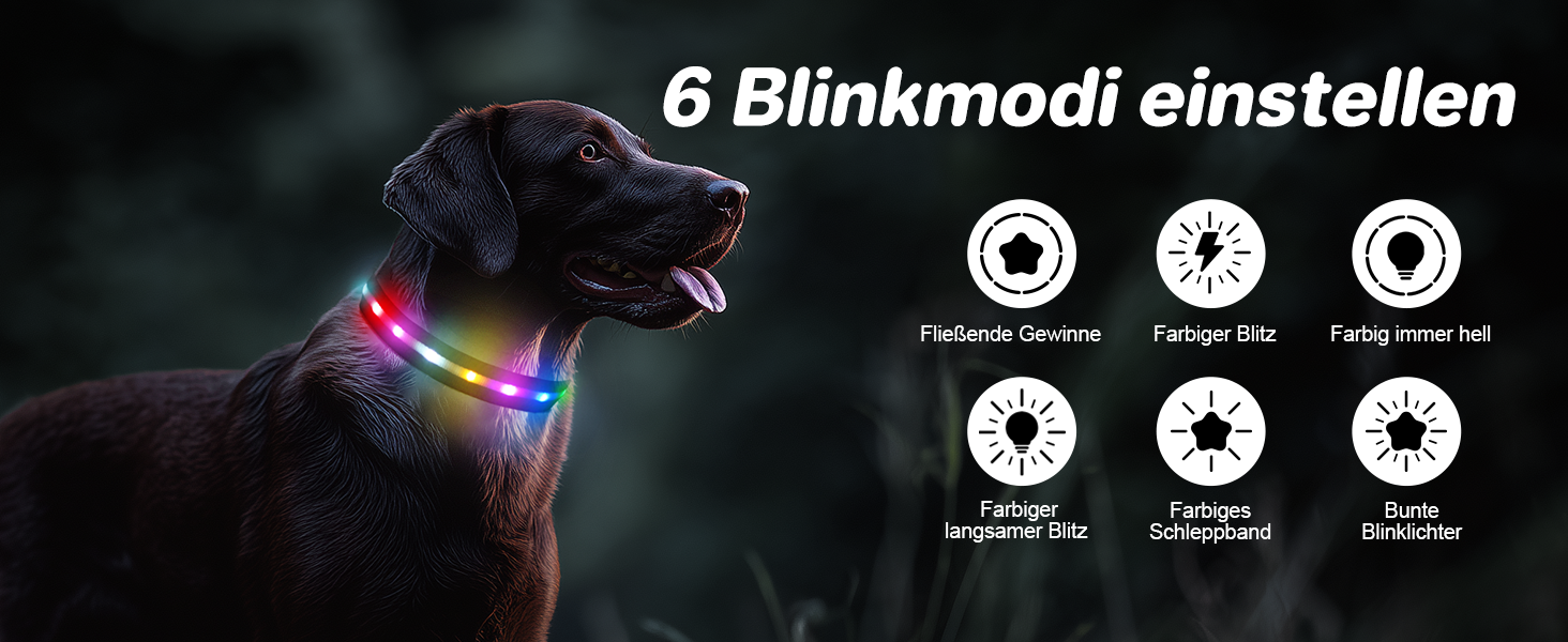 LED-нашийник для собак з підзарядкою USB, вологостійкий, регульований, 3 режими, для малих, середніх та великих собак (Чорний, L(48-60см))