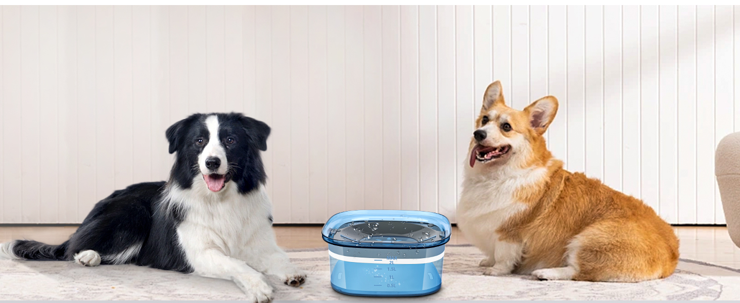 Миска для собак PETTOM, 2L, проти протікання, без облизування, велика (Блакитна)