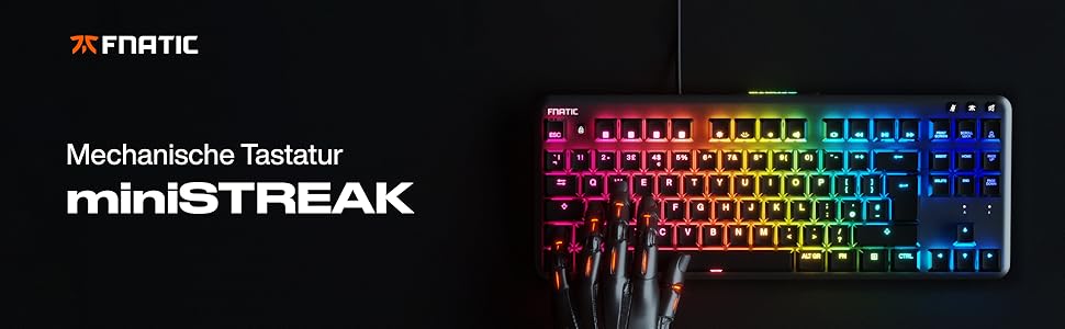Механічна ігрова клавіатура Fnatic Gear miniSTREAK з LED RGB-підсвічуванням, клавіші Speed Silver, компактний формат 65%, QWERTY (DE/US)