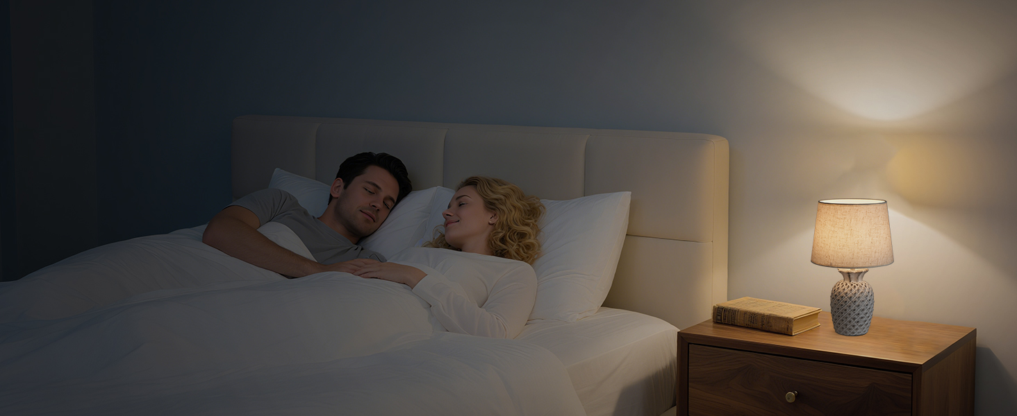 LED-лампа Egobasic на акумуляторі з пультом, таймером та регулюванням яскравості, змінне підсвічування, керамічна основа у вигляді ананаса, для спальні, кухні, вітальні