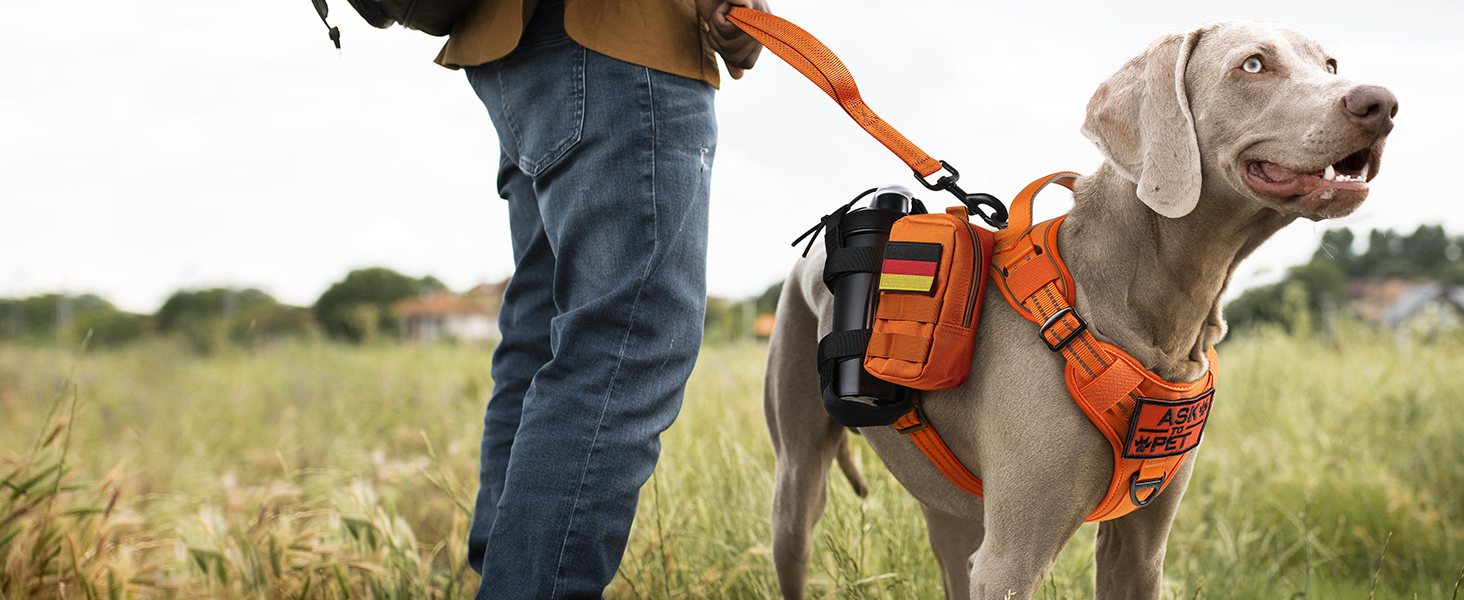 Нашийник для собак Rabbitgoo середнього розміру, анти-тяга, регульований з ручкою, міцний, тактичний, з металевими пряжками, для прогулянок (M, Оранжевий)