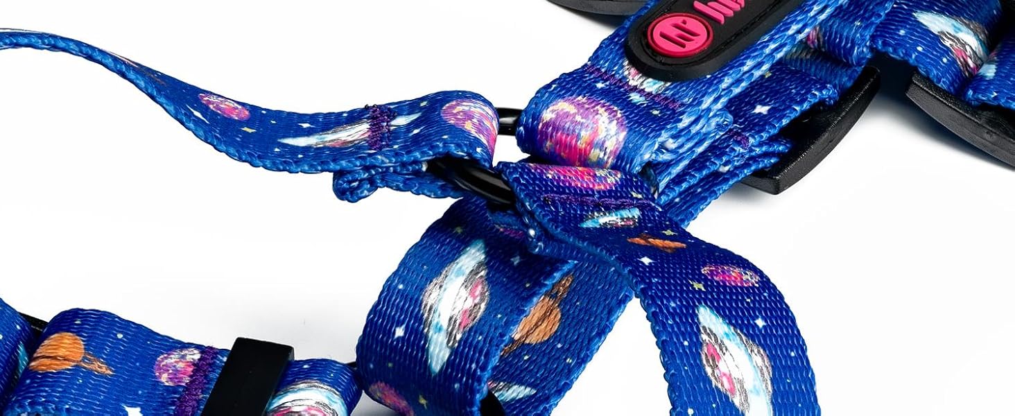 Шлейка для собак середніх порід | Не вбирає вологу | Регульована | З контролем | Легка класична шлейка для собак | Dog Harness - M (Cosmic Bloom, S - виміряйте собаку)