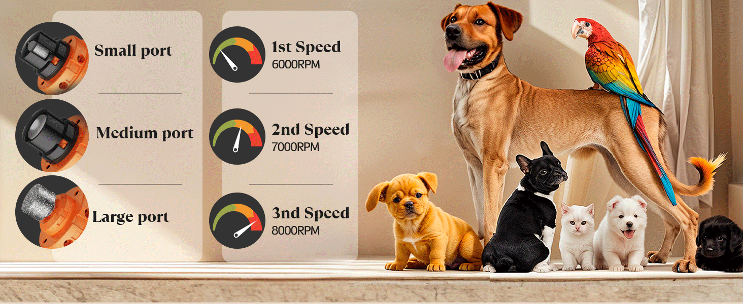 Електричний точилка для кігтів собак YABIFE - тиха, 3 швидкості, для маленьких та великих собак та котів